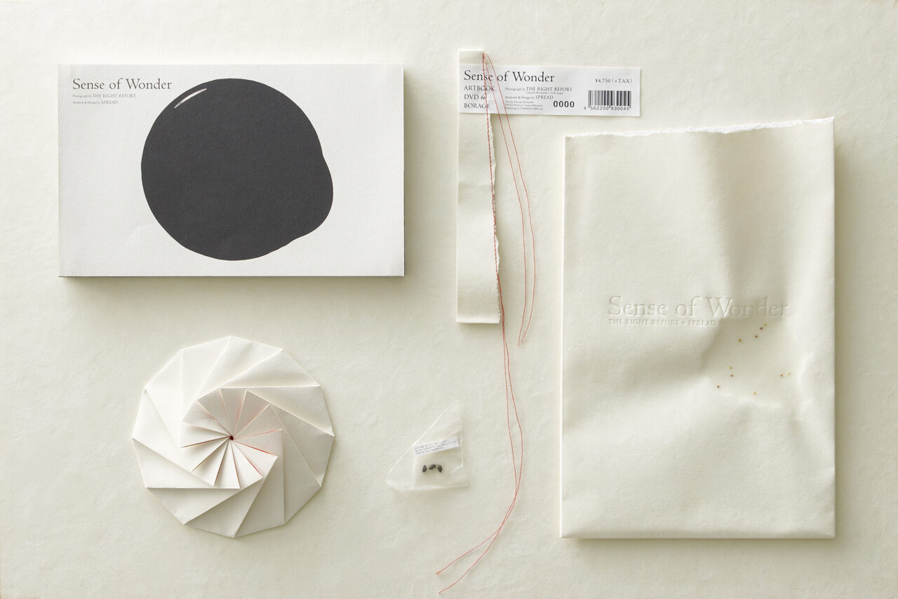 01_Sense of Wonder-01_v2